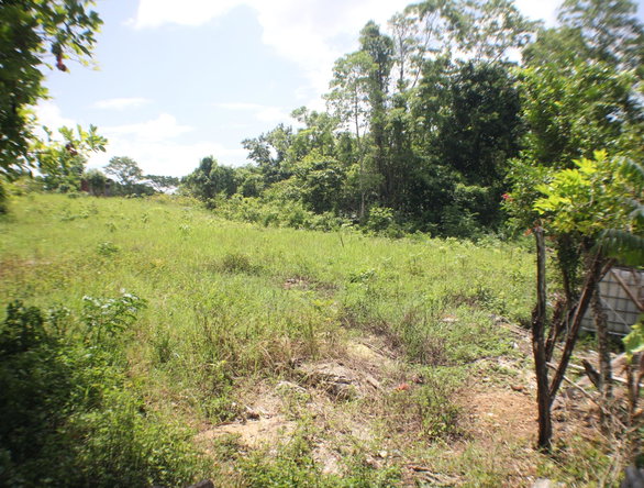 Third image of Brighton in Santa Cruz, St. Elizabeth, Jamaica - property is For Sale