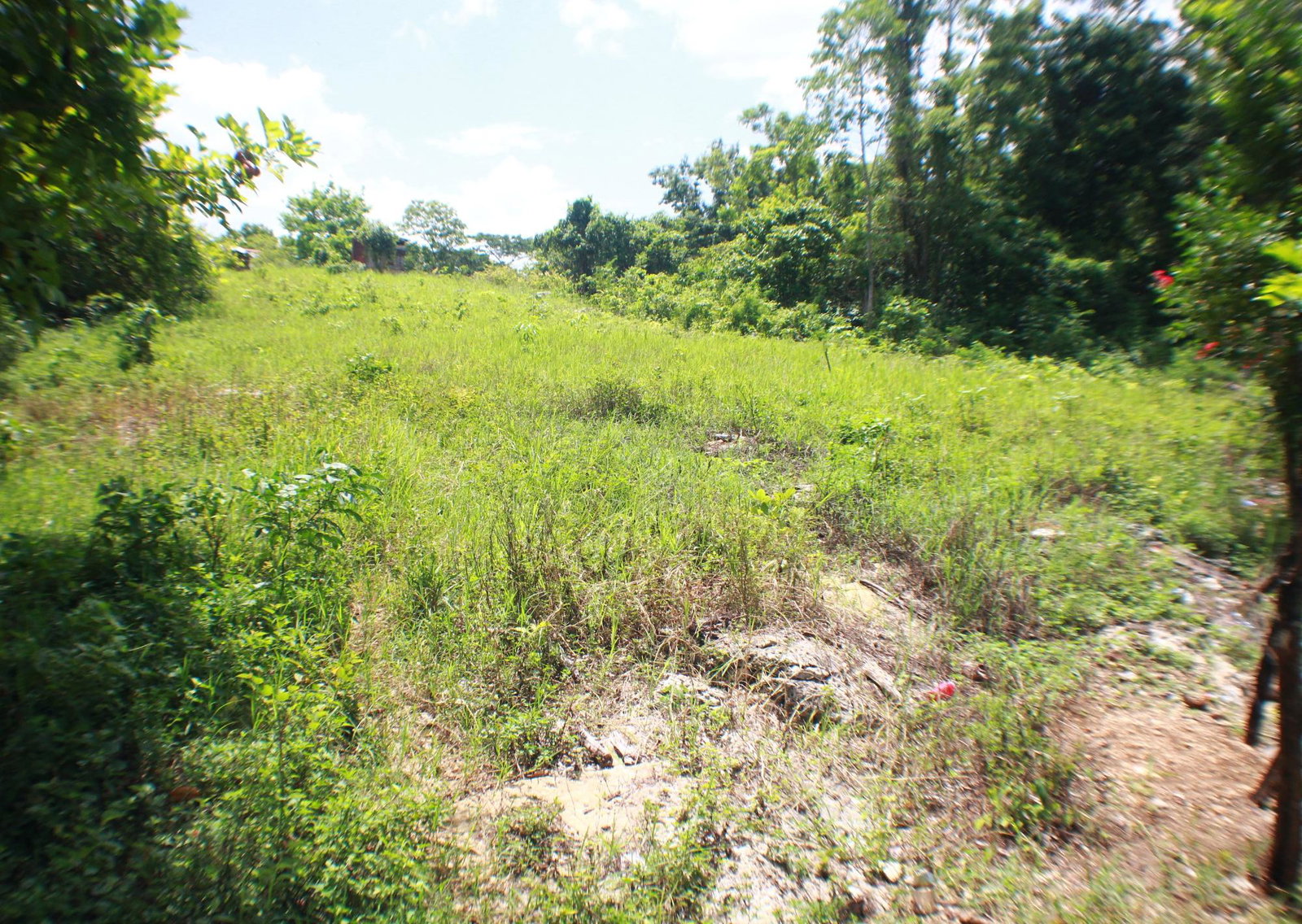 Fourth image of Brighton in Santa Cruz, St. Elizabeth, Jamaica - property is For Sale