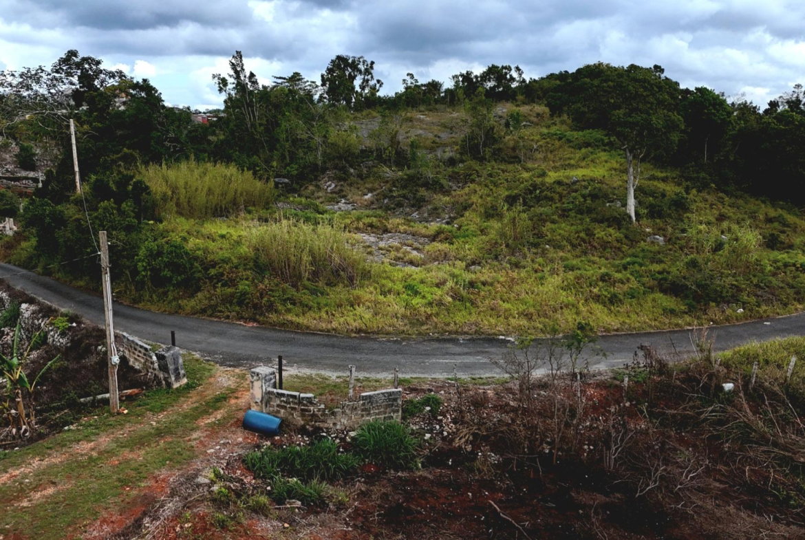 Fourth image of Lot 25 Hopeton Pen in Mandeville, Manchester, Jamaica - property is For Sale