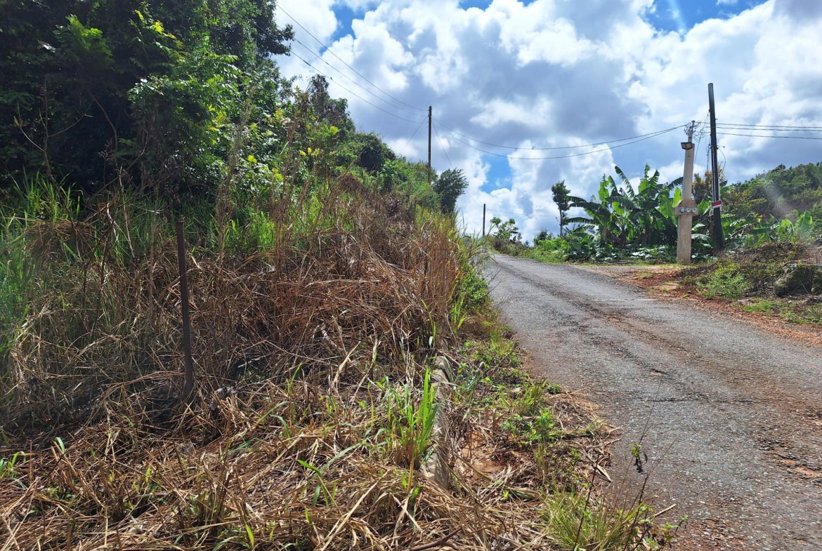Fifth image of Lot 25 Hopeton Pen in Mandeville, Manchester, Jamaica - property is For Sale