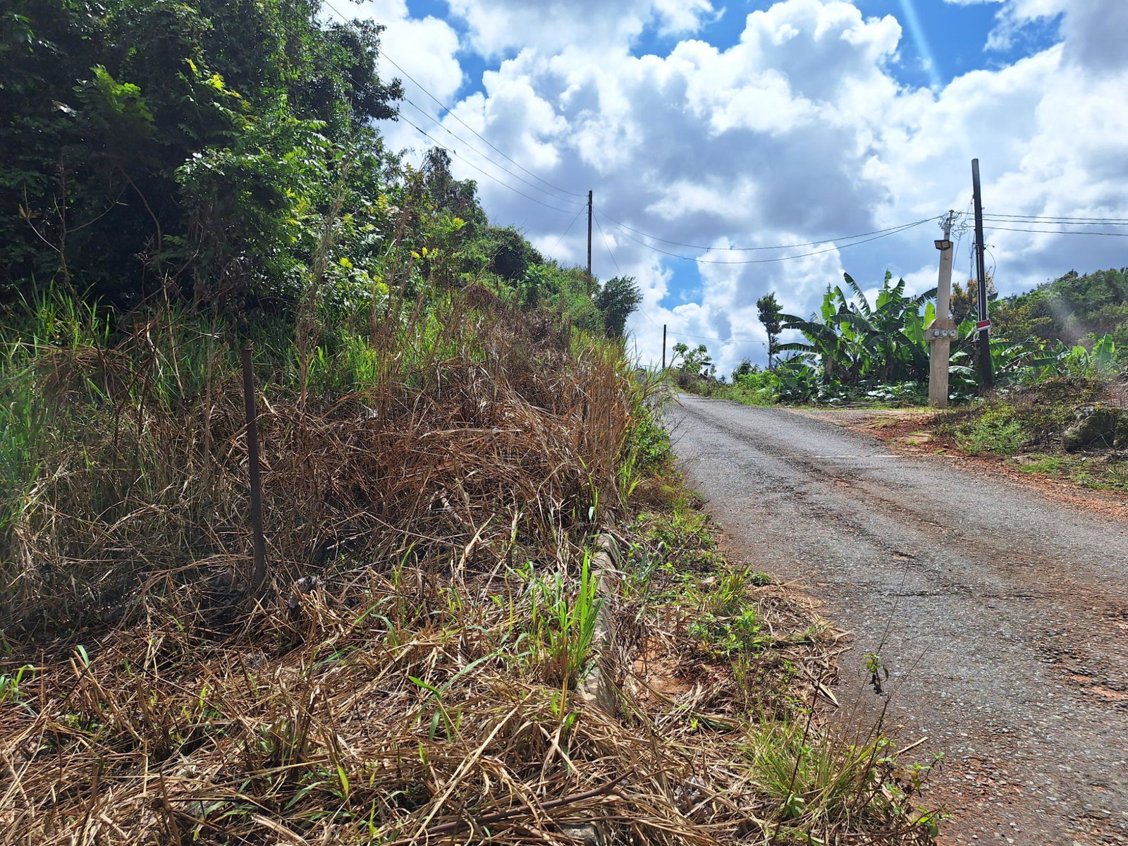 Fifth image of Lot 25 Hopeton Pen in Mandeville, Manchester, Jamaica - property is For Sale