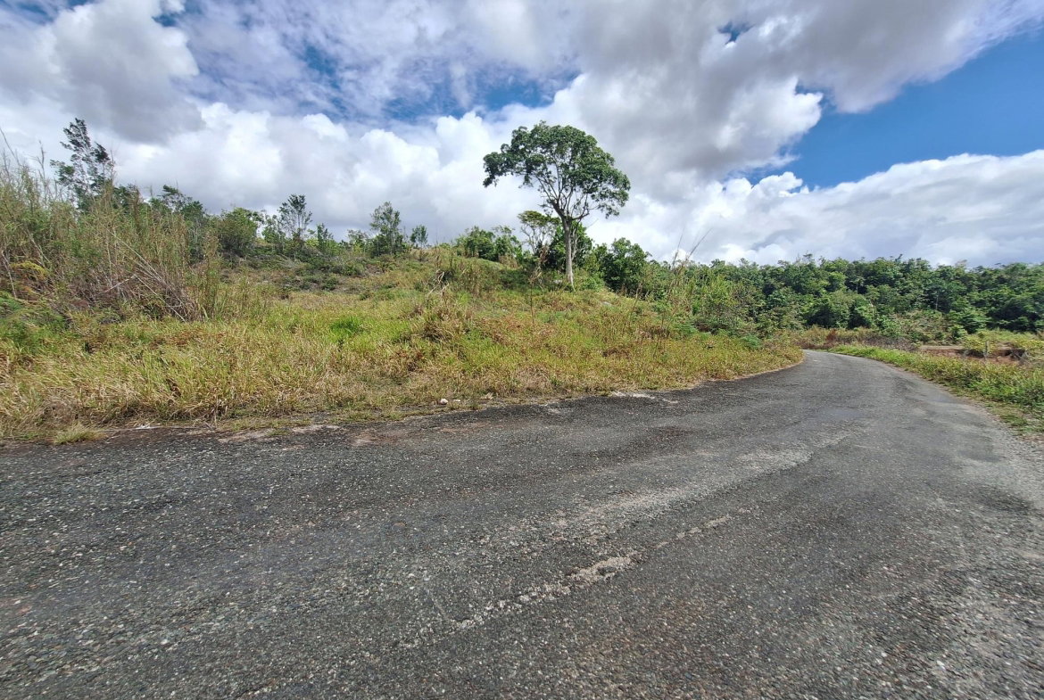 Sixth image of Lot 25 Hopeton Pen in Mandeville, Manchester, Jamaica - property is For Sale