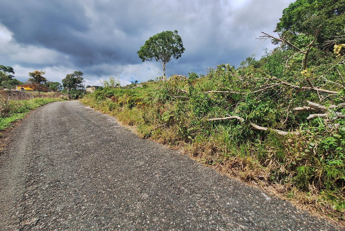 Seventh image of Lot 25 Hopeton Pen in Mandeville, Manchester, Jamaica - property is For Sale