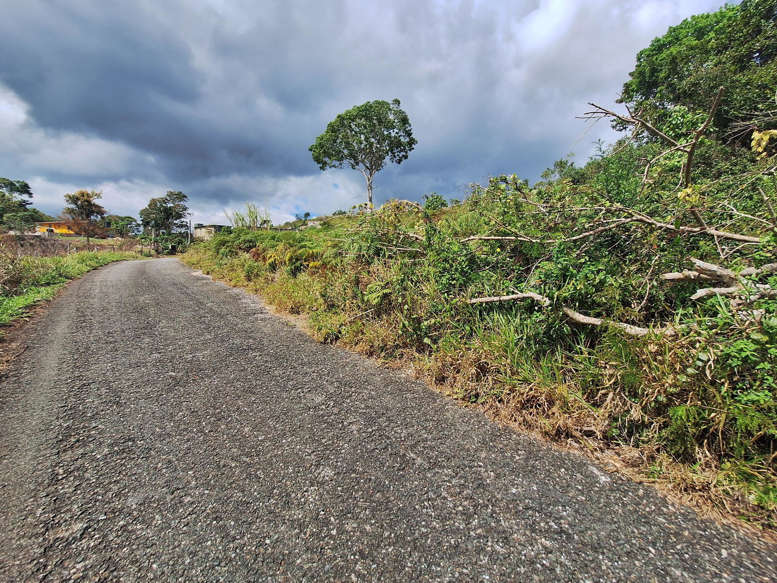 Seventh image of Lot 25 Hopeton Pen in Mandeville, Manchester, Jamaica - property is For Sale