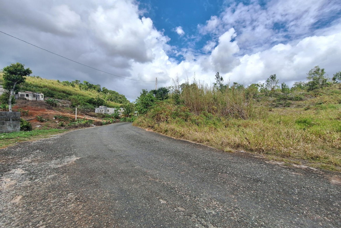 Eighth image of Lot 25 Hopeton Pen in Mandeville, Manchester, Jamaica - property is For Sale