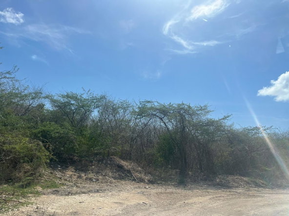 Eleventh image of Lot 358 Hill Run in Spanish Town, St. Catherine, Jamaica - property is For Sale
