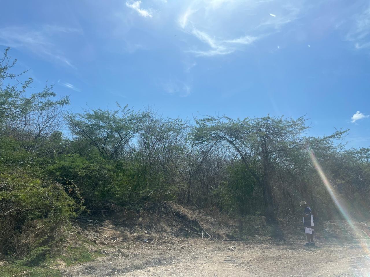 Twelfth image of Lot 358 Hill Run in Spanish Town, St. Catherine, Jamaica - property is For Sale