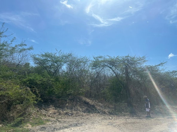 Twelfth image of Lot 358 Hill Run in Spanish Town, St. Catherine, Jamaica - property is For Sale