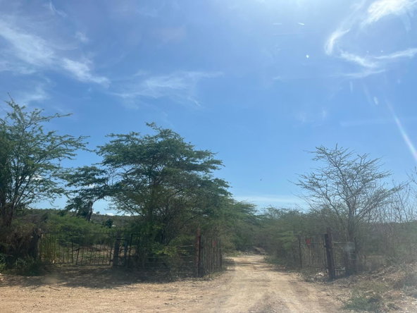 Fourteenth image of Lot 358 Hill Run in Spanish Town, St. Catherine, Jamaica - property is For Sale