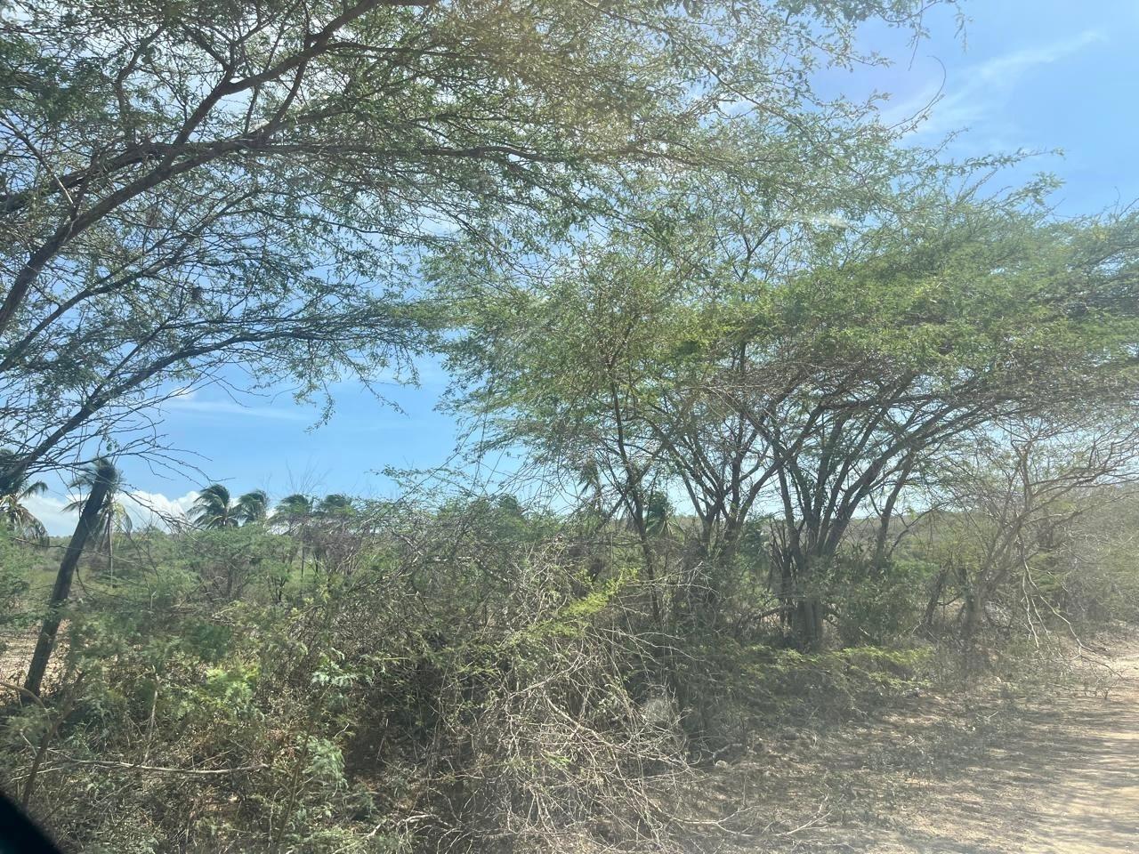Sixteenth image of Lot 358 Hill Run in Spanish Town, St. Catherine, Jamaica - property is For Sale