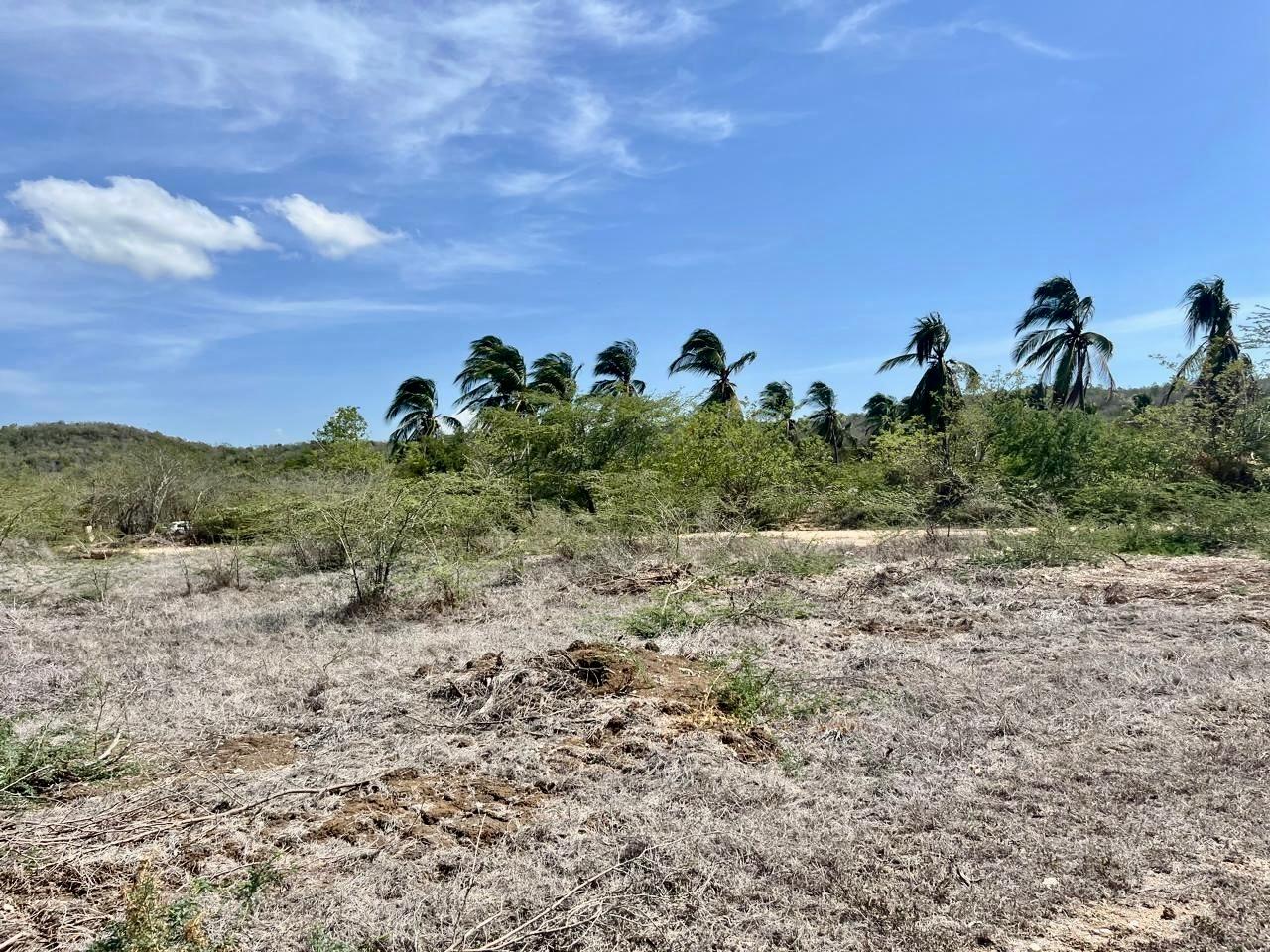 Third image of Lot 358 Hill Run in Spanish Town, St. Catherine, Jamaica - property is For Sale