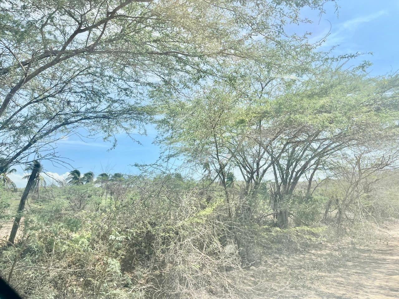 Fourth image of Lot 358 Hill Run in Spanish Town, St. Catherine, Jamaica - property is For Sale