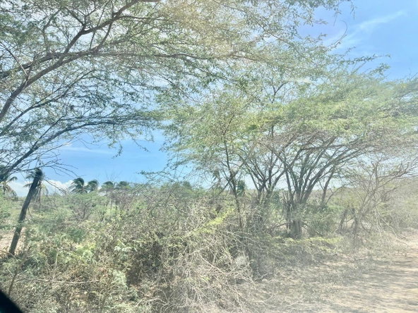 Fourth image of Lot 358 Hill Run in Spanish Town, St. Catherine, Jamaica - property is For Sale