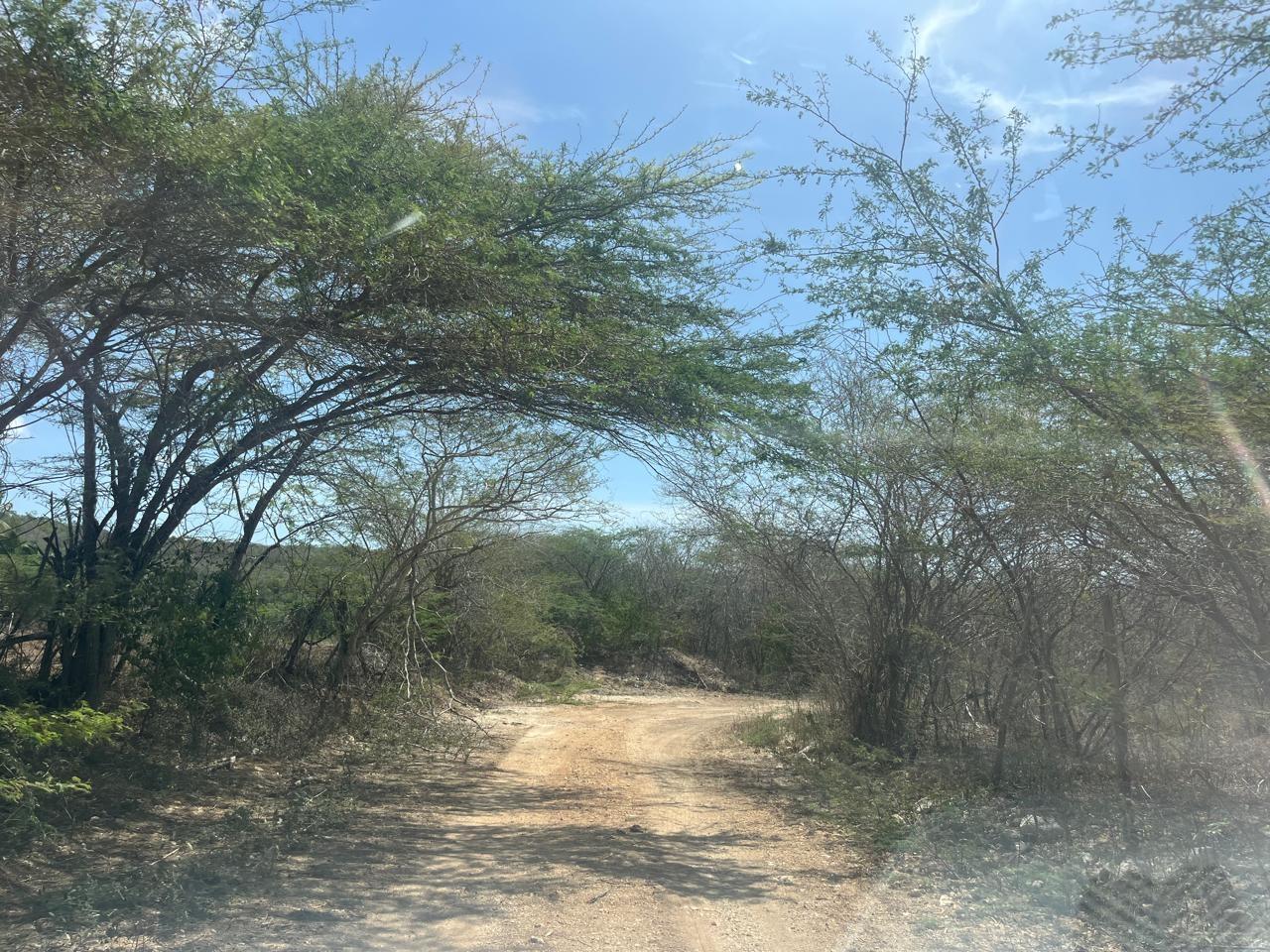 Fifth image of Lot 358 Hill Run in Spanish Town, St. Catherine, Jamaica - property is For Sale