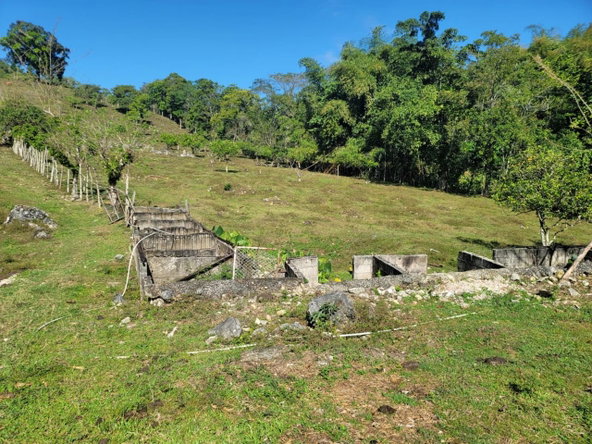 Eighth image of Bethel Town, Westmoreland in Barneyside, Westmoreland, Jamaica - property is For Sale
