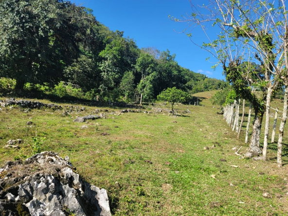 Ninth image of Bethel Town, Westmoreland in Barneyside, Westmoreland, Jamaica - property is For Sale