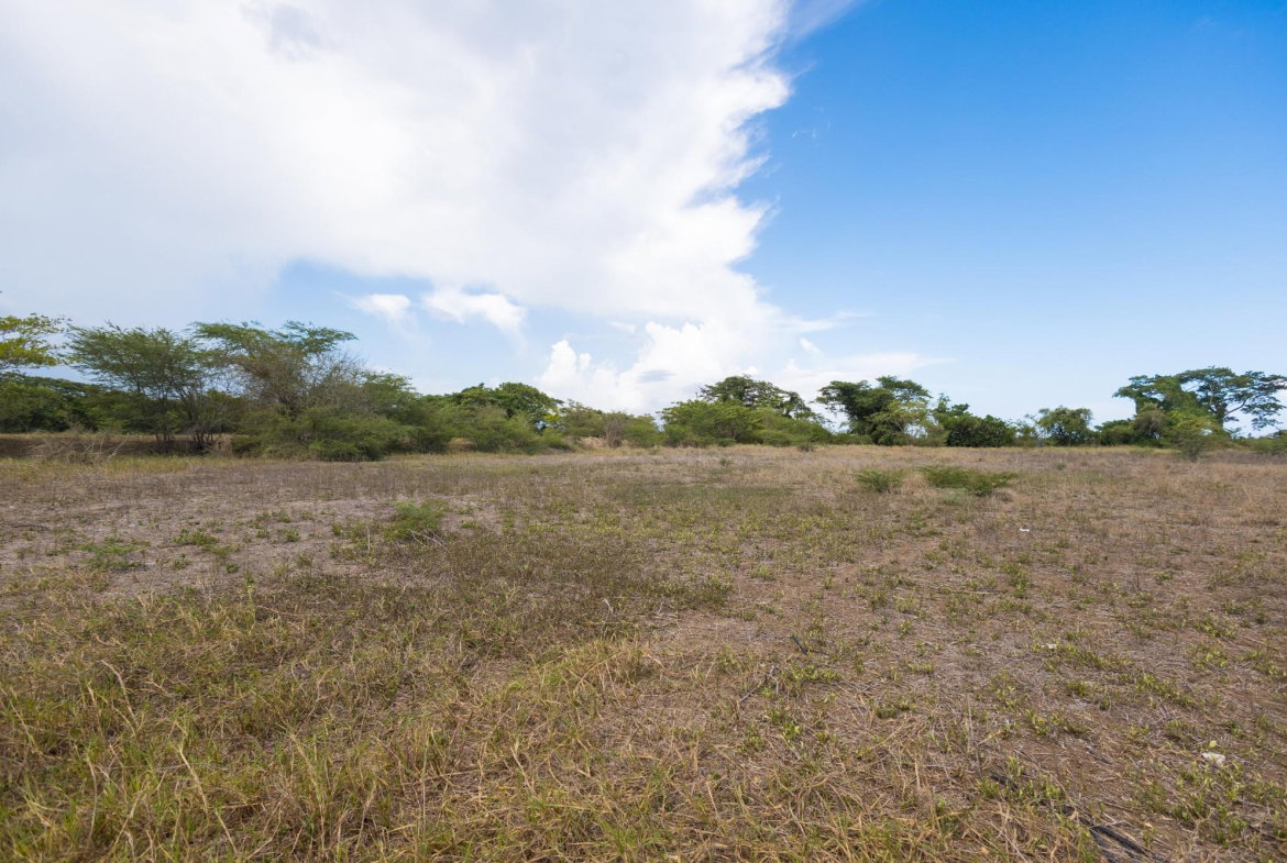 Eleventh image of Spring Garden Road in Nightingale Grove, St. Catherine, Jamaica - property is For Sale