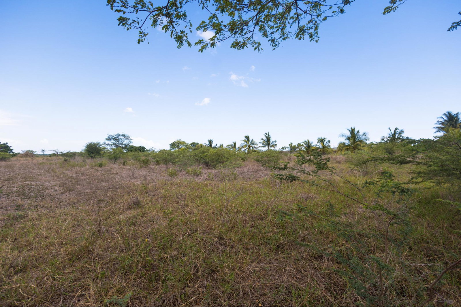 Twelfth image of Spring Garden Road in Nightingale Grove, St. Catherine, Jamaica - property is For Sale