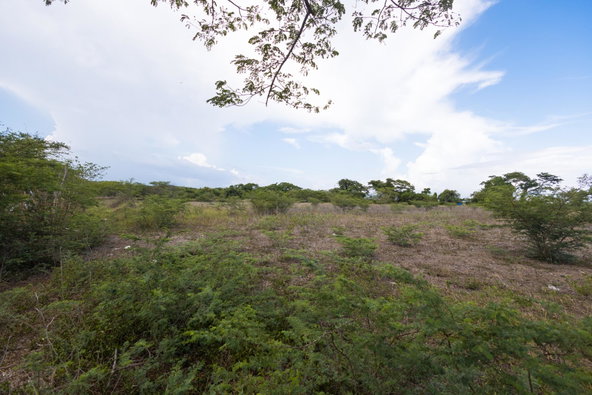Thirteenth image of Spring Garden Road in Nightingale Grove, St. Catherine, Jamaica - property is For Sale