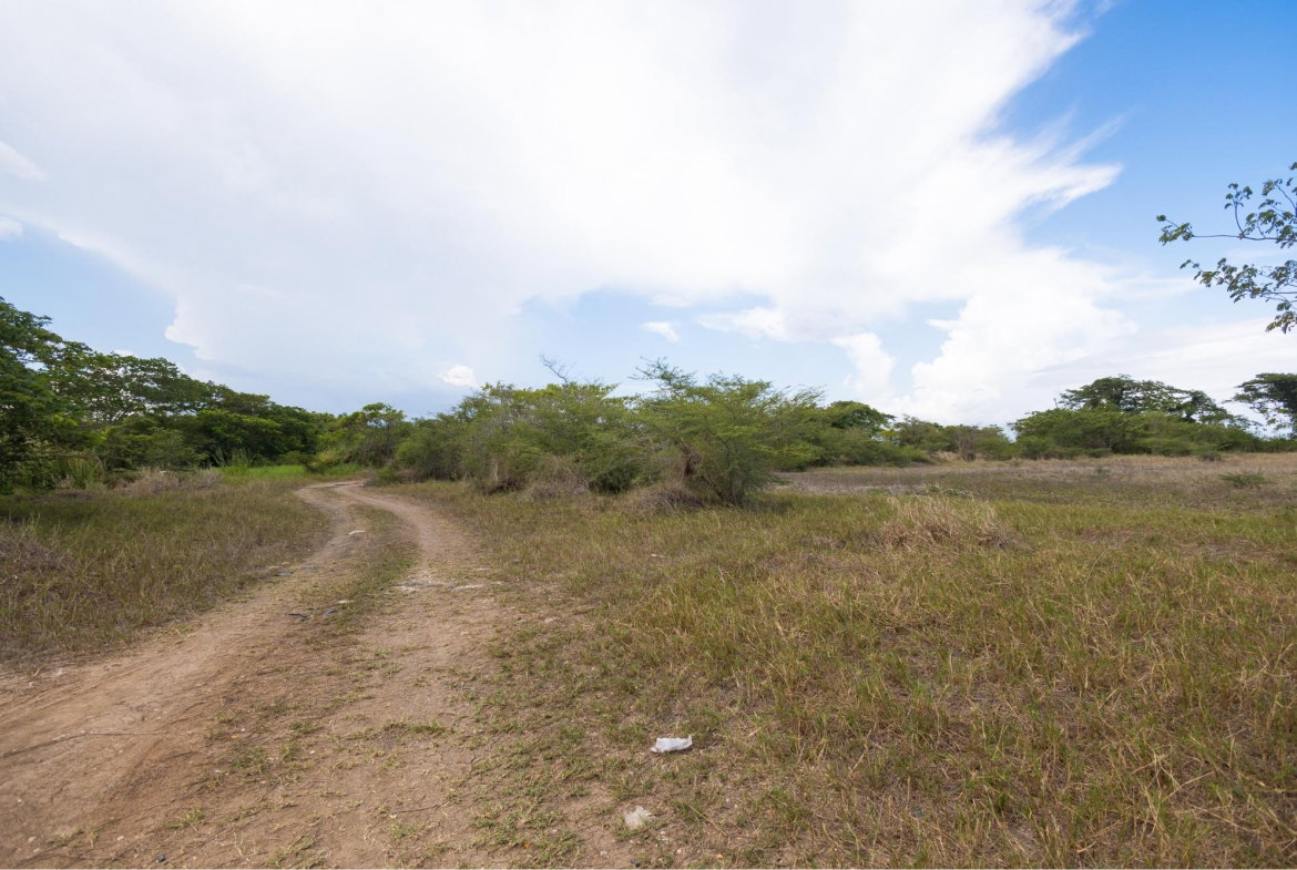Fifteenth image of Spring Garden Road in Nightingale Grove, St. Catherine, Jamaica - property is For Sale