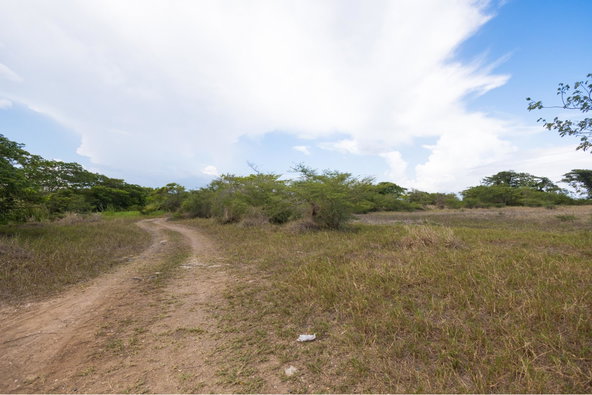 Fifteenth image of Spring Garden Road in Nightingale Grove, St. Catherine, Jamaica - property is For Sale