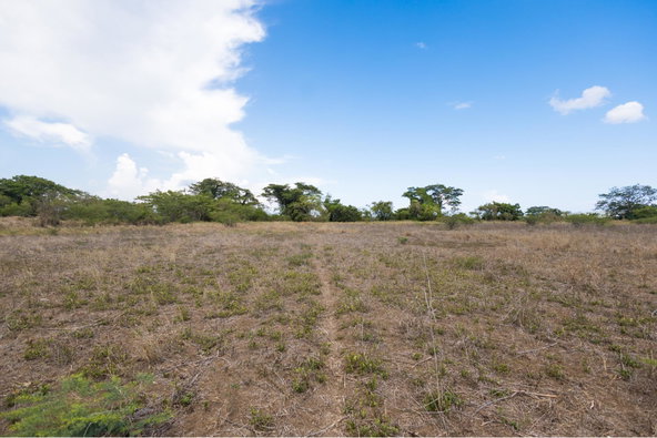 Sixteenth image of Spring Garden Road in Nightingale Grove, St. Catherine, Jamaica - property is For Sale