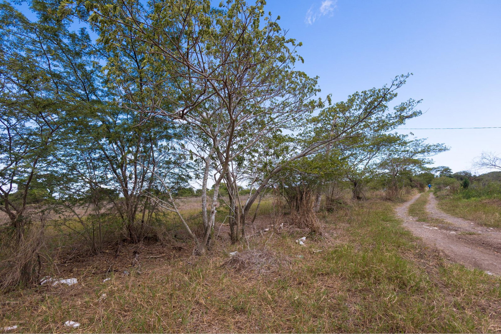 Eighth image of Spring Garden Road in Nightingale Grove, St. Catherine, Jamaica - property is For Sale