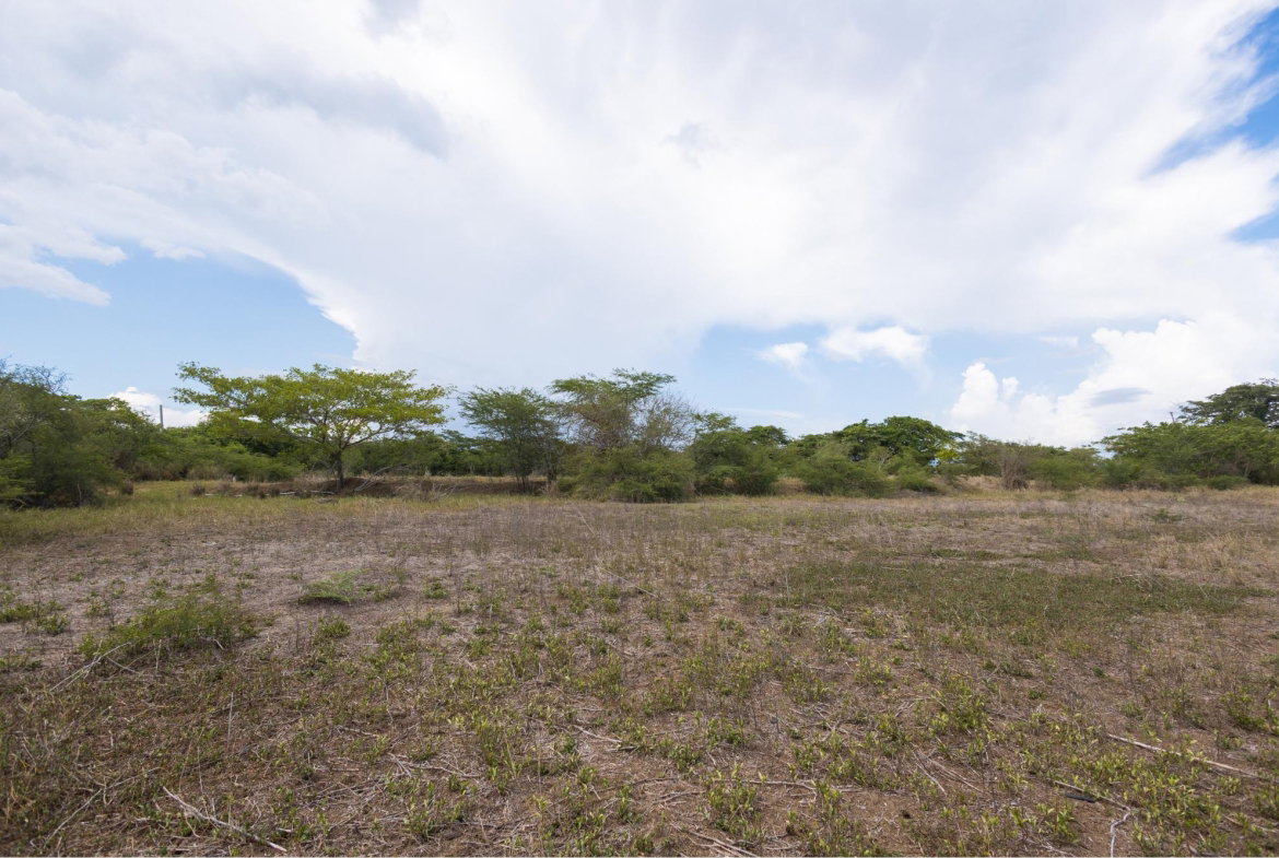 Ninth image of Spring Garden Road in Nightingale Grove, St. Catherine, Jamaica - property is For Sale