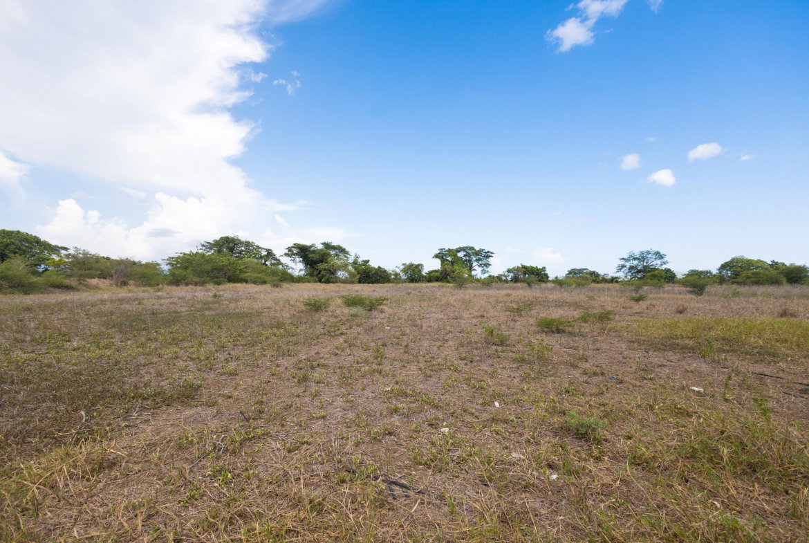 Tenth image of Spring Garden Road in Nightingale Grove, St. Catherine, Jamaica - property is For Sale