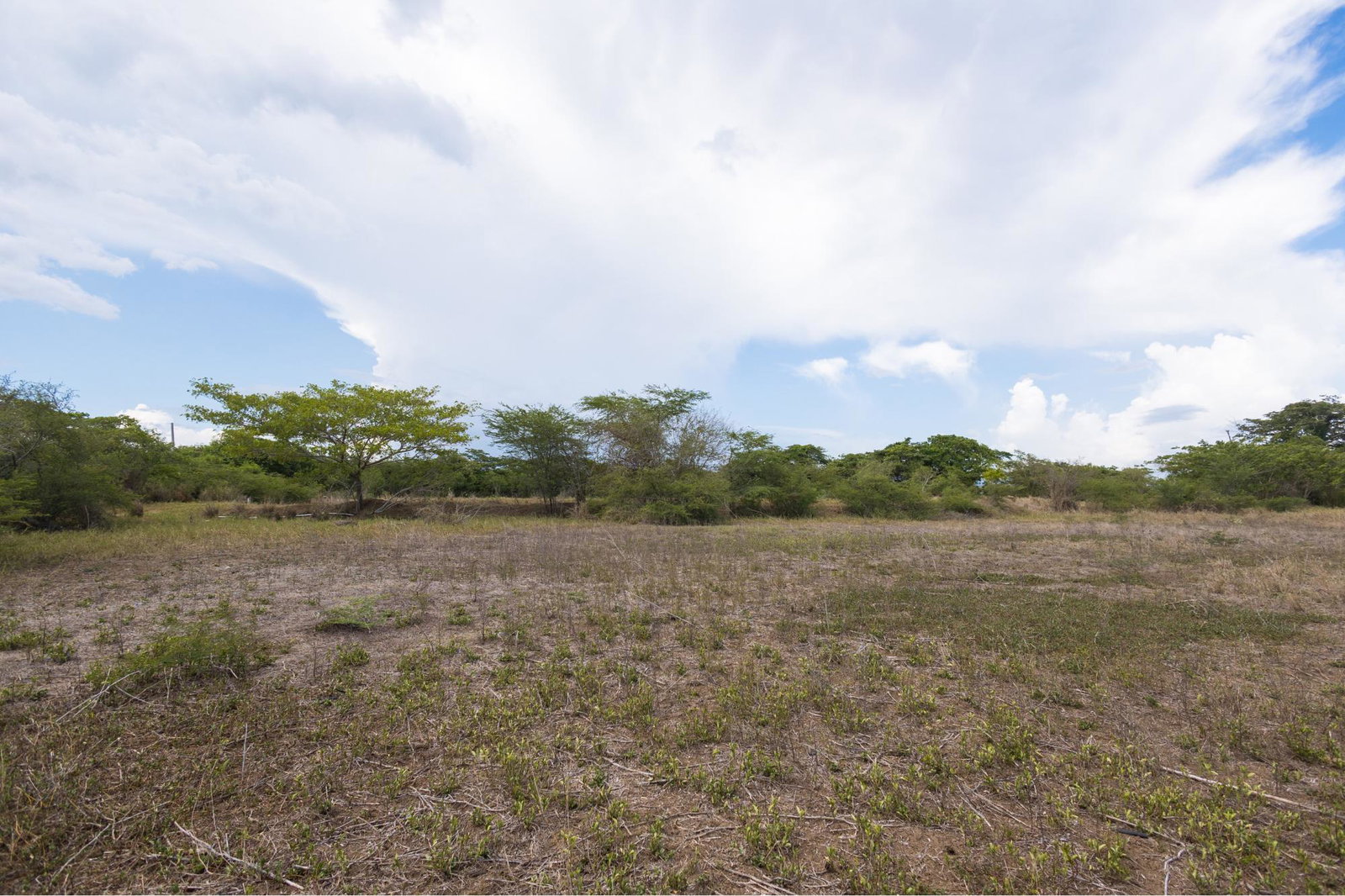 5-Acre-Agricultural-Land-for-Sale-in-St.-Catherine-Jamaica-Spring-Garden-Rd Sixth image of Spring Garden Road in Nightingale Grove, St. Catherine, Jamaica - property is For Sale
