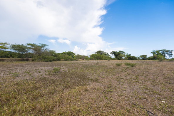 Eighth image of Spring Garden Road in Nightingale Grove, St. Catherine, Jamaica - property is For Sale