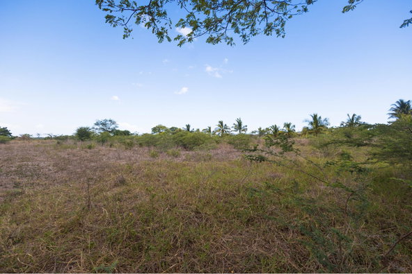 Ninth image of Spring Garden Road in Nightingale Grove, St. Catherine, Jamaica - property is For Sale