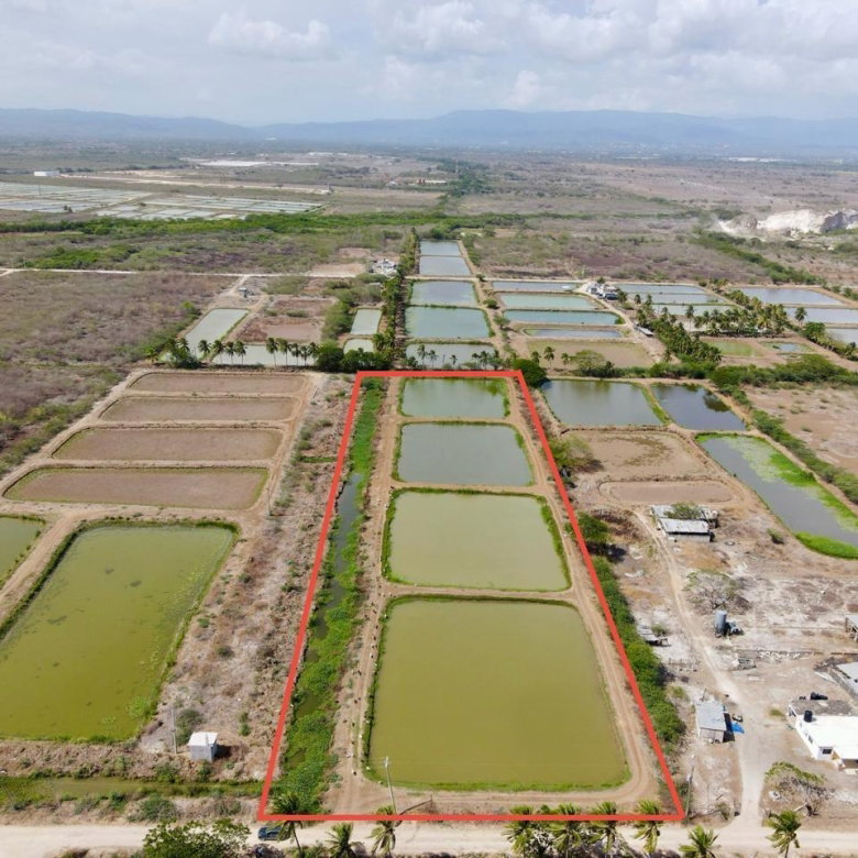 First image of Lot # 309 St. Catherine, Hill Run in Hill Run, St. Catherine, Jamaica - property is For Sale
