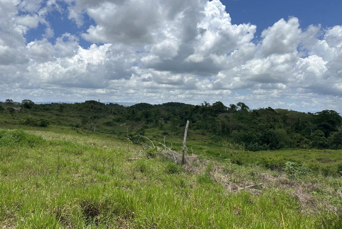Fourth image of Newport Manchester in Newport, Manchester, Jamaica - property is For Sale