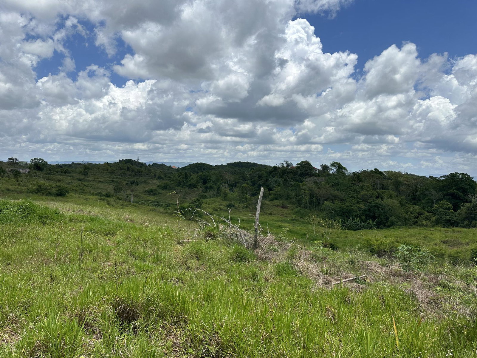 Fourth image of Newport Manchester in Newport, Manchester, Jamaica - property is For Sale