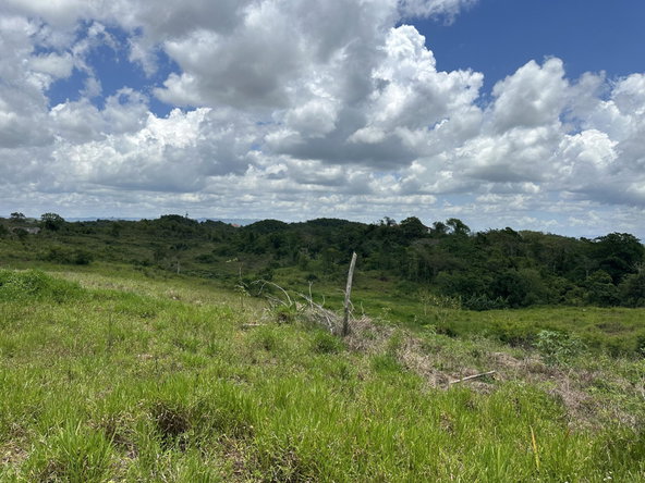 Fourth image of Newport Manchester in Newport, Manchester, Jamaica - property is For Sale