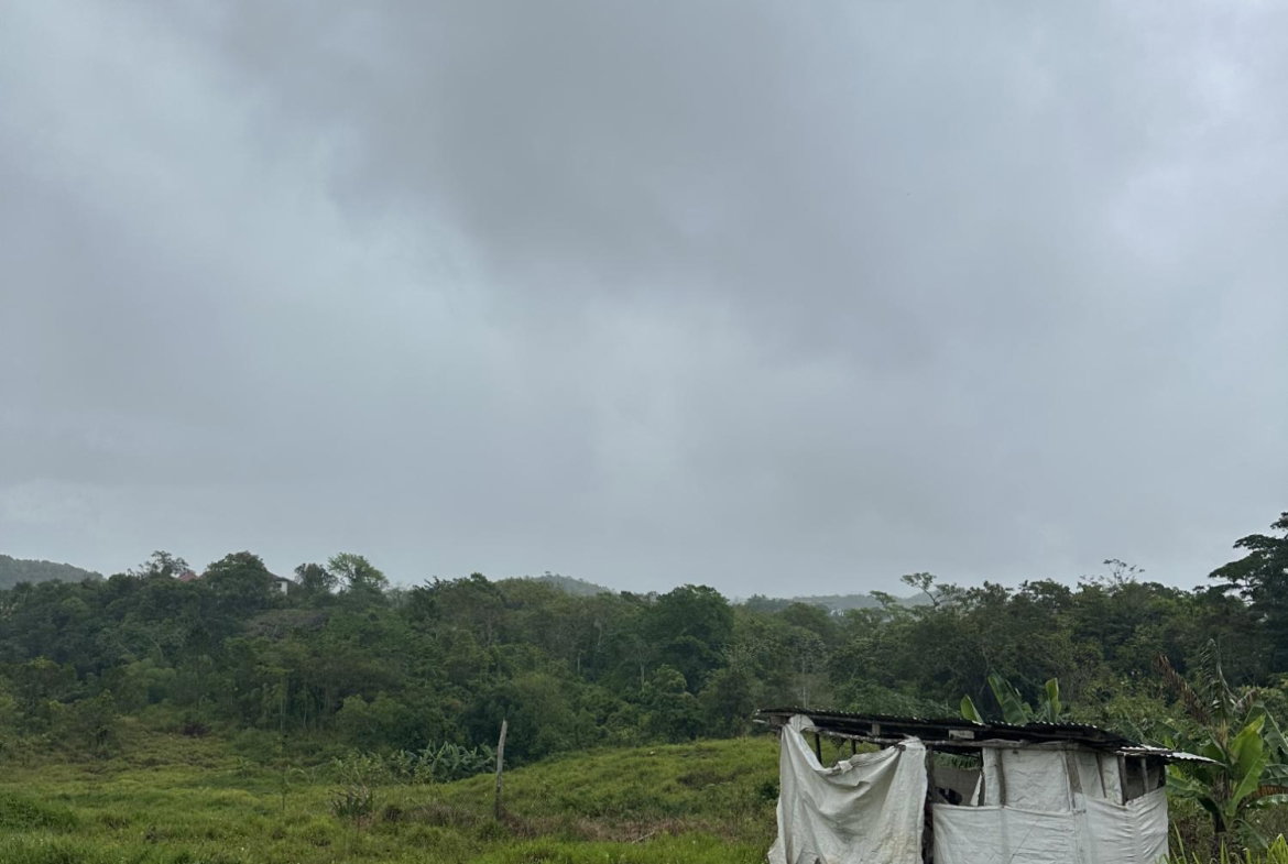 Fifth image of Newport Manchester in Newport, Manchester, Jamaica - property is For Sale