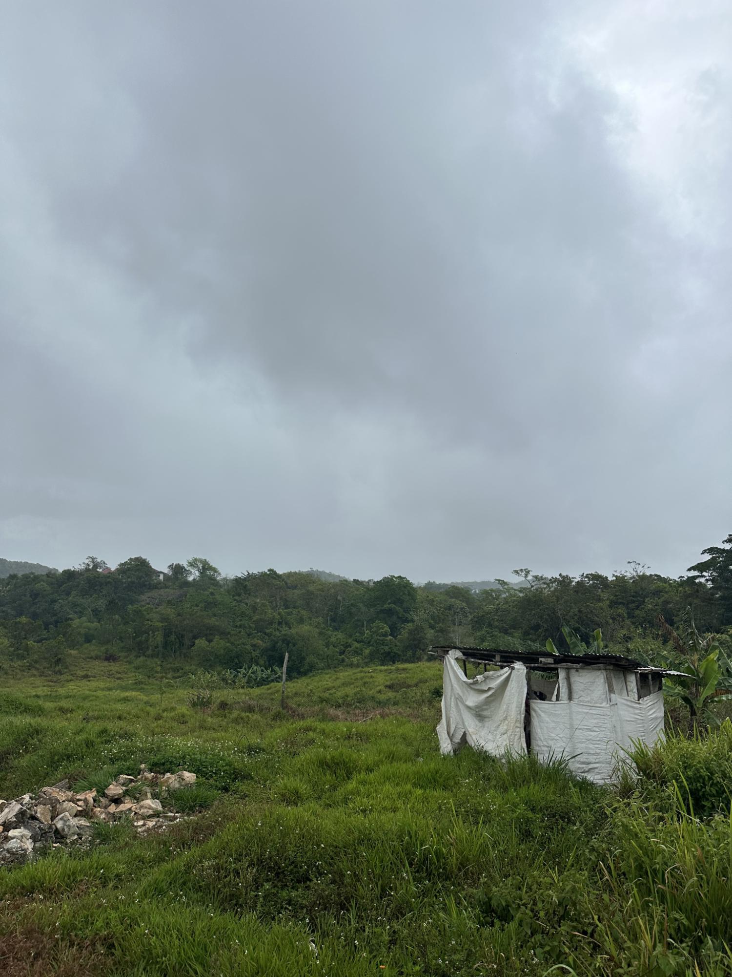 Fifth image of Newport Manchester in Newport, Manchester, Jamaica - property is For Sale