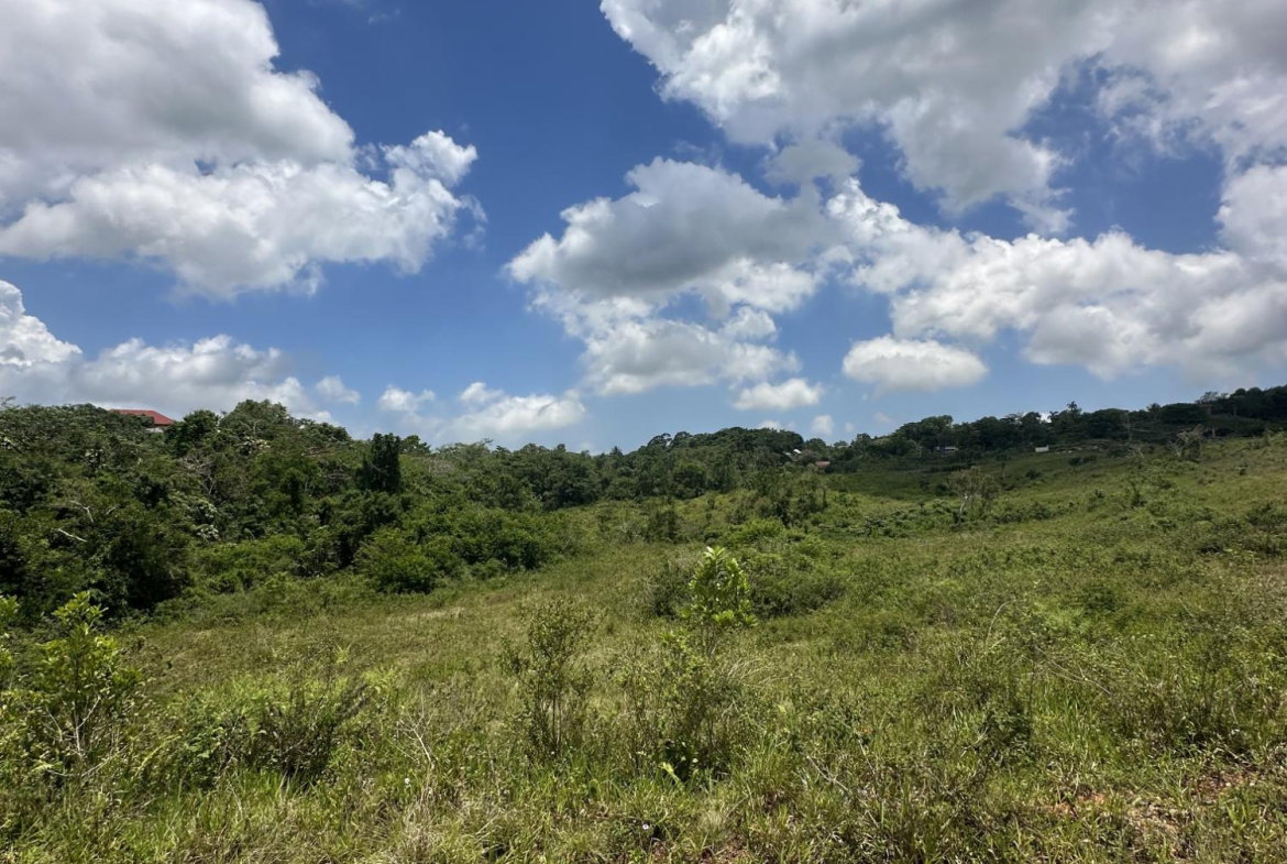 Sixth image of Newport Manchester in Newport, Manchester, Jamaica - property is For Sale