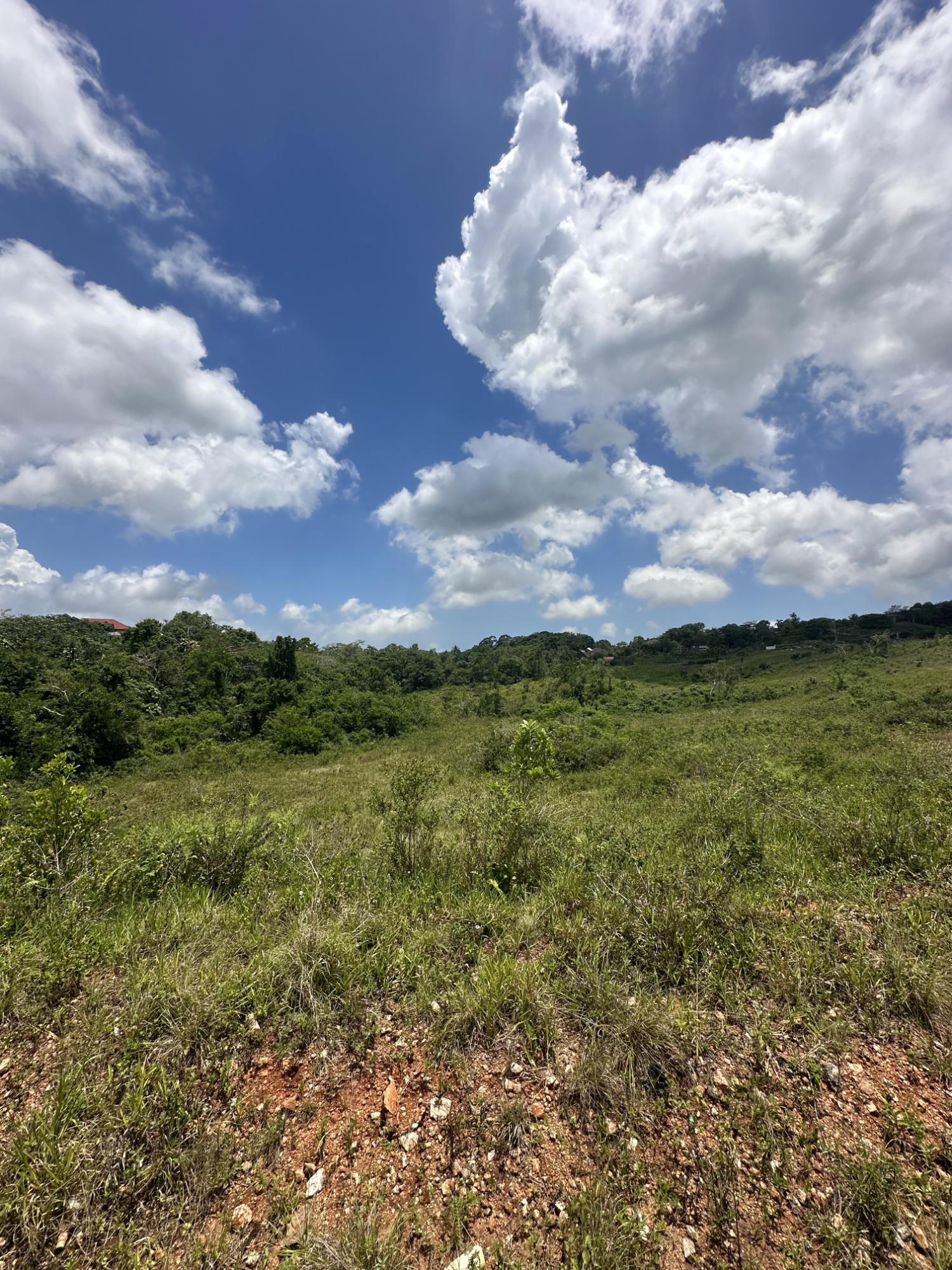 Sixth image of Newport Manchester in Newport, Manchester, Jamaica - property is For Sale