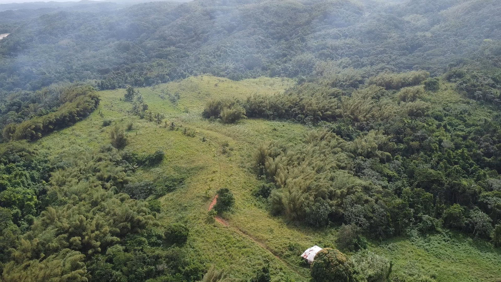 50-Acres-Development-Land-for-Sale-in-Pear-Tree-River-St.-Thomas-Jamaica Second image of Pear Tree River St. Thoma in Pear Tree River, St. Thomas, Jamaica - property is For Sale
