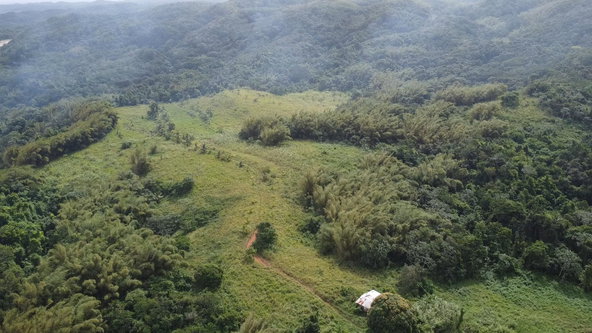 Second image of Pear Tree River St. Thoma in Pear Tree River, St. Thomas, Jamaica - property is For Sale