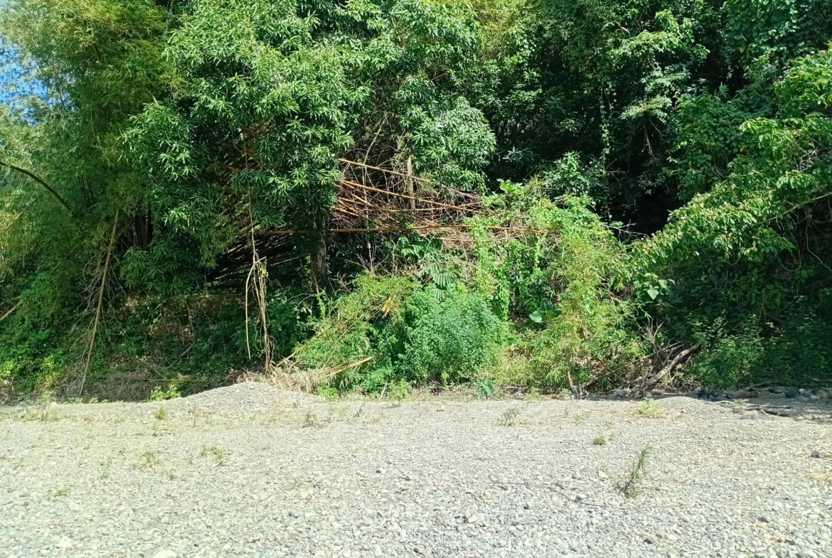 Eleventh image of Pear Tree River St. Thoma in Pear Tree River, St. Thomas, Jamaica - property is For Sale