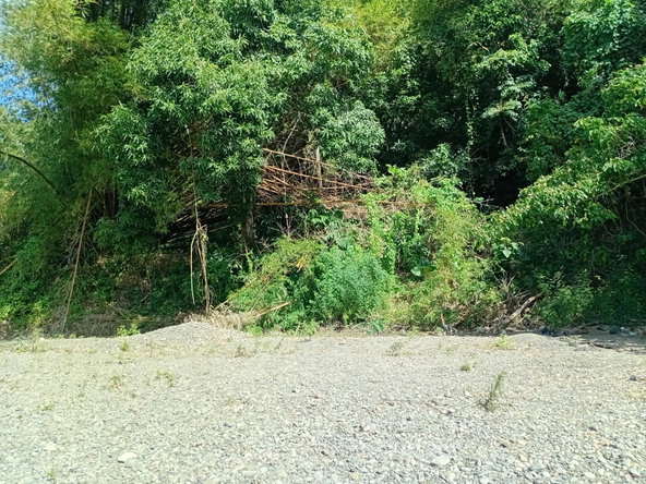 Eleventh image of Pear Tree River St. Thoma in Pear Tree River, St. Thomas, Jamaica - property is For Sale