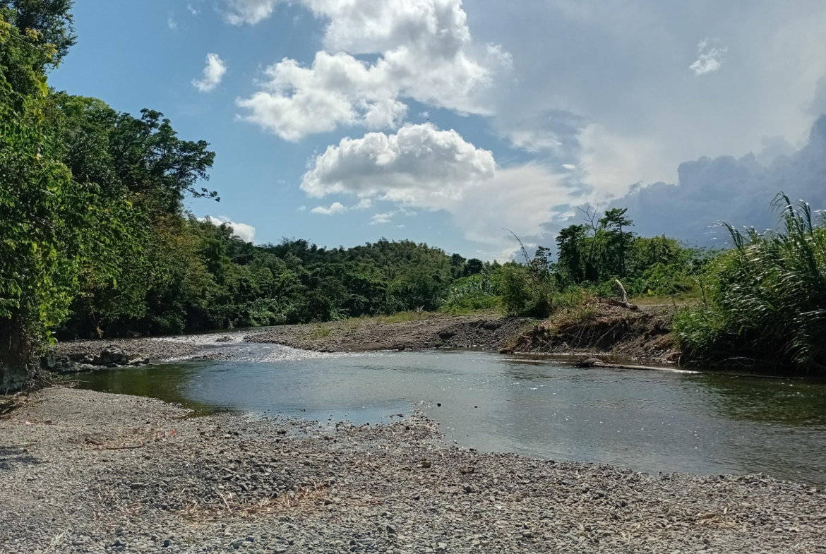 Twelfth image of Pear Tree River St. Thoma in Pear Tree River, St. Thomas, Jamaica - property is For Sale