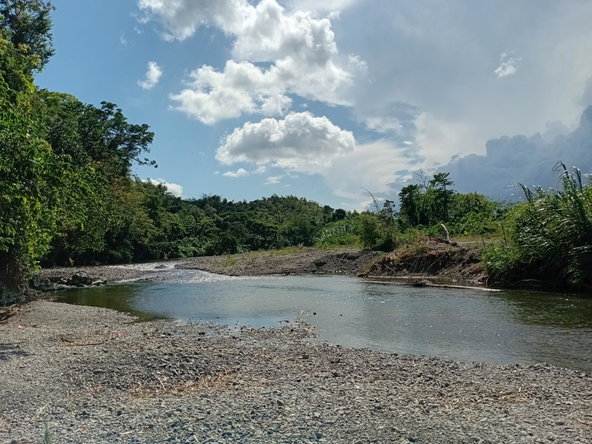 Twelfth image of Pear Tree River St. Thoma in Pear Tree River, St. Thomas, Jamaica - property is For Sale