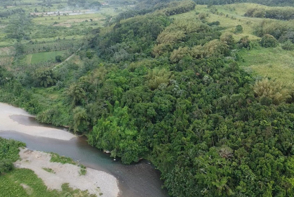 First image of Pear Tree River St. Thoma in Pear Tree River, St. Thomas, Jamaica - property is For Sale