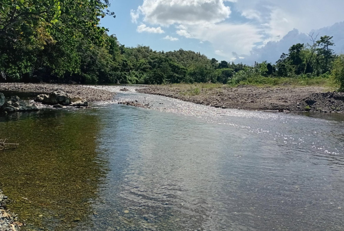 Thirteenth image of Pear Tree River St. Thoma in Pear Tree River, St. Thomas, Jamaica - property is For Sale