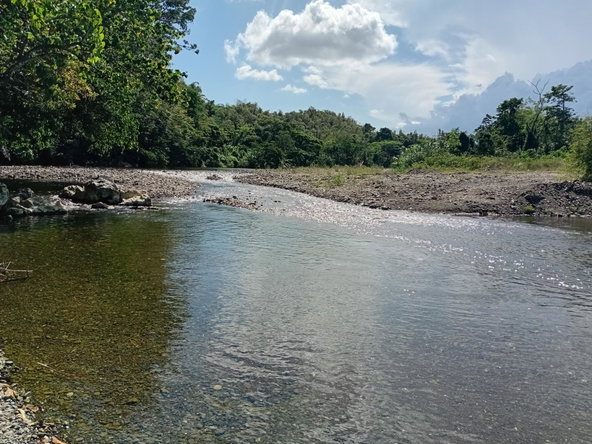 Thirteenth image of Pear Tree River St. Thoma in Pear Tree River, St. Thomas, Jamaica - property is For Sale