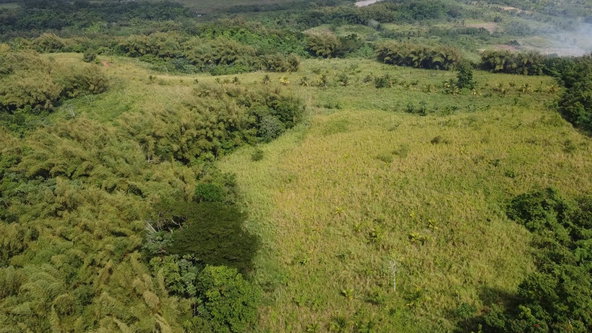 Third image of Pear Tree River St. Thoma in Pear Tree River, St. Thomas, Jamaica - property is For Sale